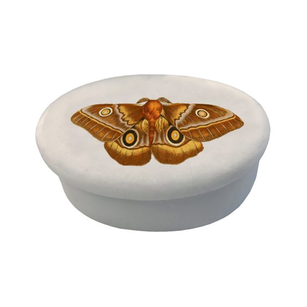 Decorative Boxes Botanical/Zoological 3″ Emperor Moth White Oval Soapstone Trinket-Jewelry Box