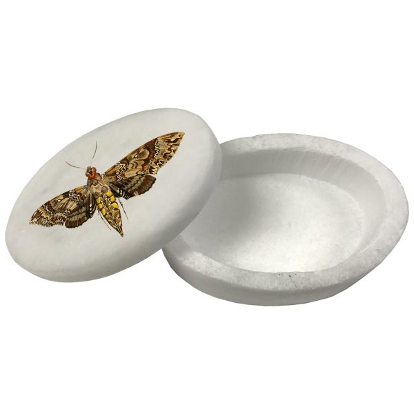 Decorative Boxes Botanical/Zoological Hawk Moth White Oval Soapstone Trinket-Jewelry Box