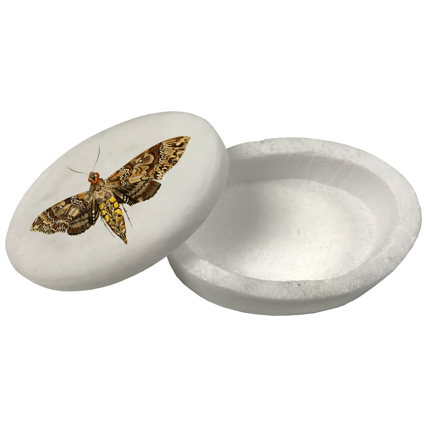 Decorative Boxes Botanical/Zoological 3″ Hawk Moth White Oval Soapstone Trinket-Je ...