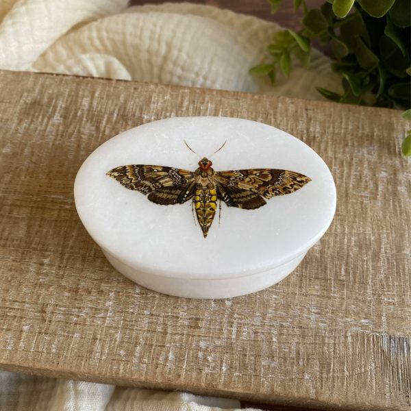 Decorative Boxes Botanical/Zoological Hawk Moth White Oval Soapstone Trinket-Jewelry Box