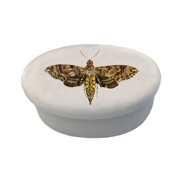 Decorative Boxes Botanical/Zoological Hawk Moth White Oval Soapstone Trinket-Jewelry Box