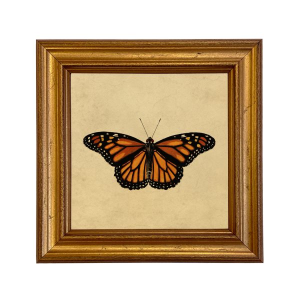 Cabin/Lodge Botanical/Zoological Monarch Butterfly Vintage Style Illustration Framed Print