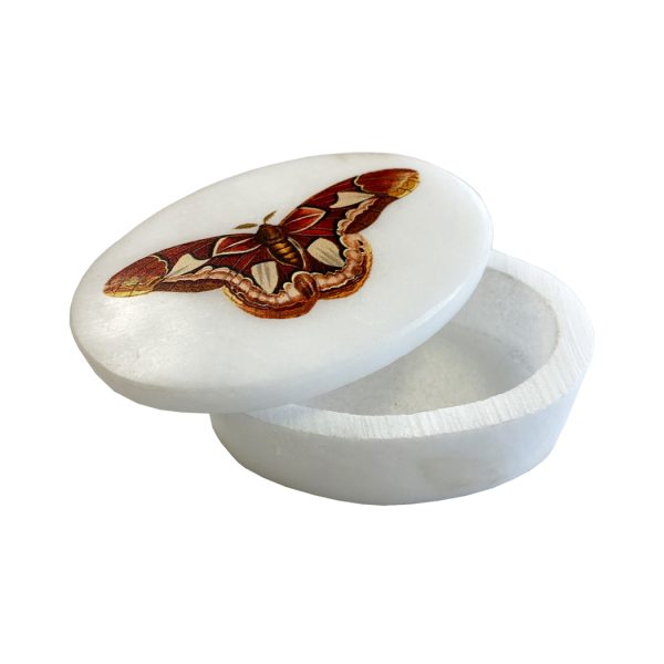 Decorative Boxes Botanical/Zoological 3″ Atlas Moth White Oval Soapstone Trinket-Jewelry Box