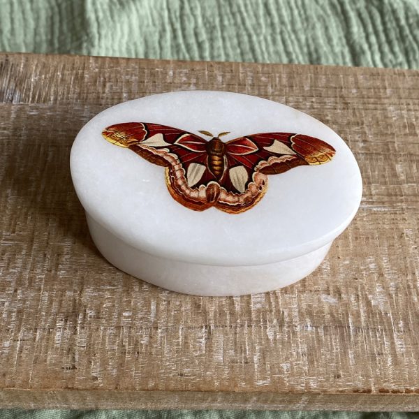 Decorative Boxes Botanical/Zoological 3″ Atlas Moth White Oval Soapstone Trinket-Jewelry Box