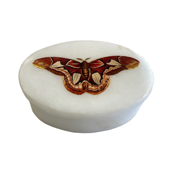 Decorative Boxes Botanical/Zoological 3″ Atlas Moth White Oval Soapstone Trinket-Jewelry Box