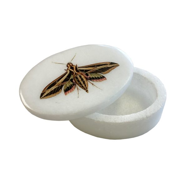 Decorative Boxes Botanical/Zoological Sphinx Moth White Oval Soapstone Trinket-Jewelry Box