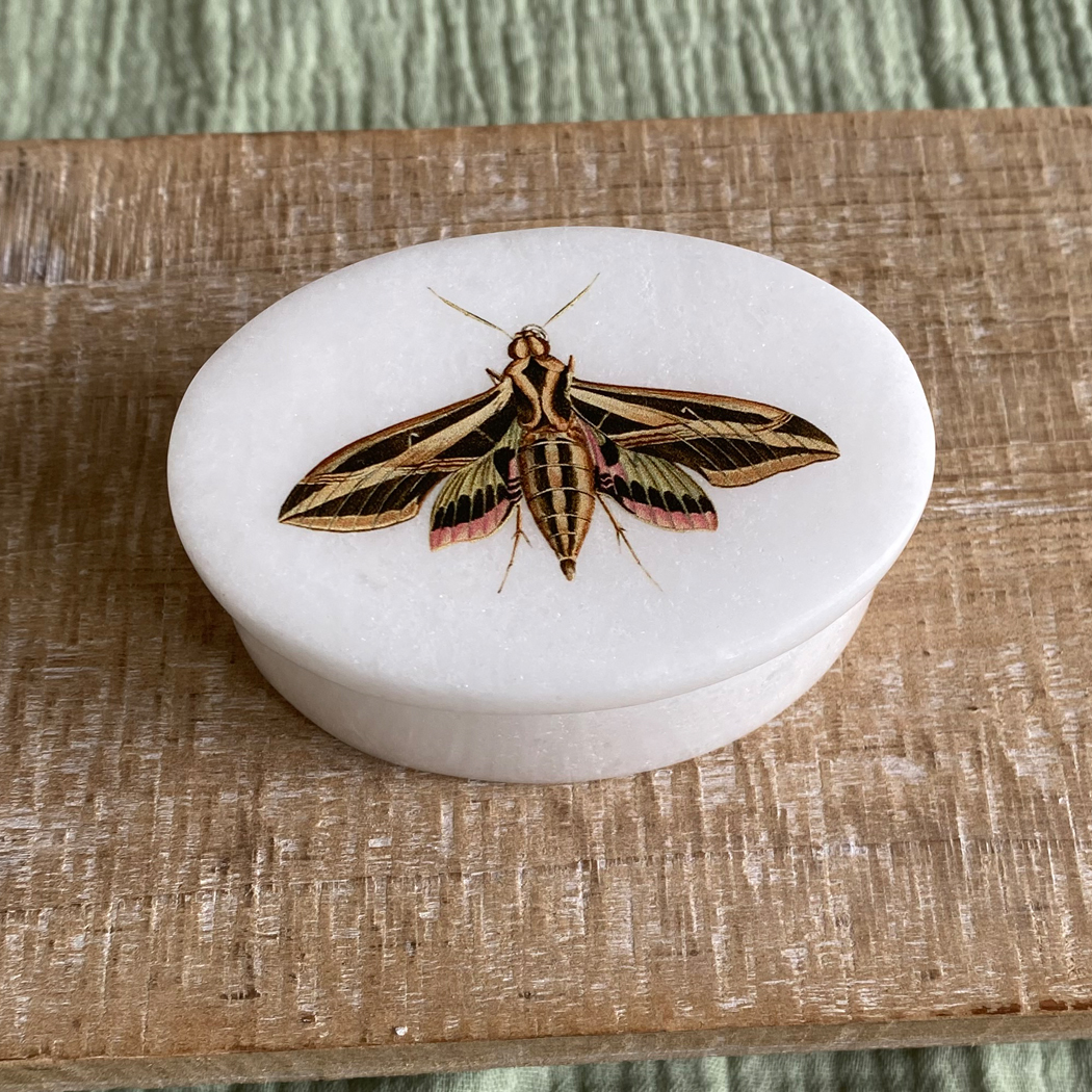 Decorative Boxes Botanical/Zoological 3″ Sphinx Moth White Oval Soapstone Trinket- ...