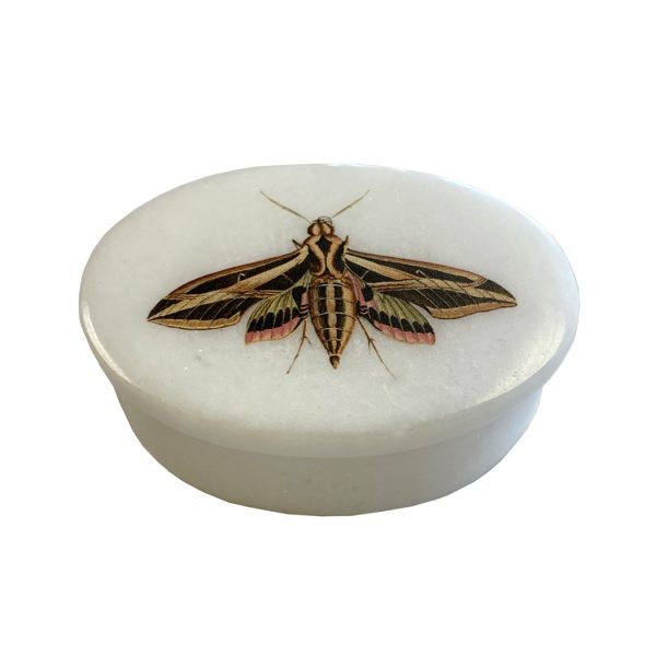 Decorative Boxes Botanical/Zoological Sphinx Moth White Oval Soapstone Trinket-Jewelry Box