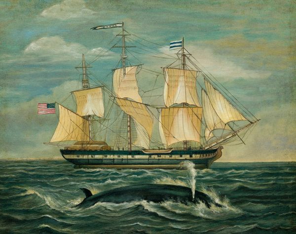 Decor Early American Whaling Ship with Whale Framed Print