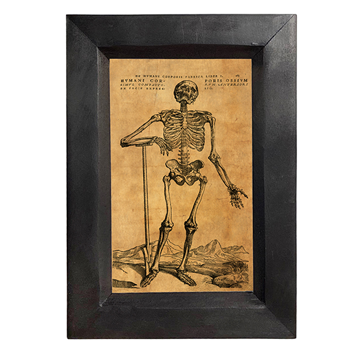 Halloween Dark Academia Pleading Skeleton Dark Academia Halloween Framed P ...