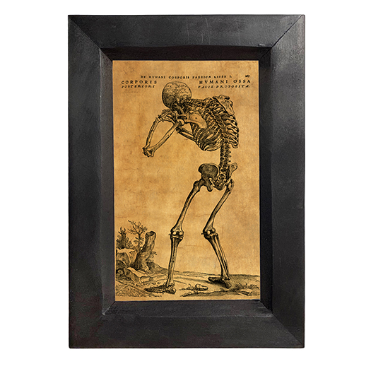 Halloween Dark Academia Weeping Skeleton Dark Academia Halloween Framed Pr ...