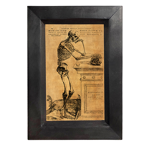 Halloween Dark Academia Skeleton at Tomb Dark Academia Framed Print ...