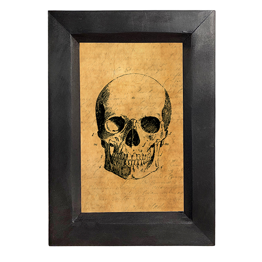 Halloween Dark Academia Creepy Skull Dark Academia Halloween Framed Print ...