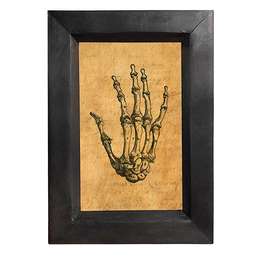 Halloween Dark Academia Skeleton Hand Dark Academia Framed Print Behind Gl ...