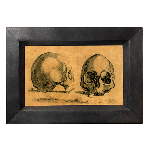 Halloween Dark Academia Pair of Skulls Dark Academia Framed Print Behind G ...