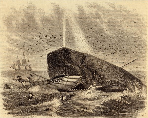 Decor Early American The Whale of Captain DeLois Etching Print Behind Glass