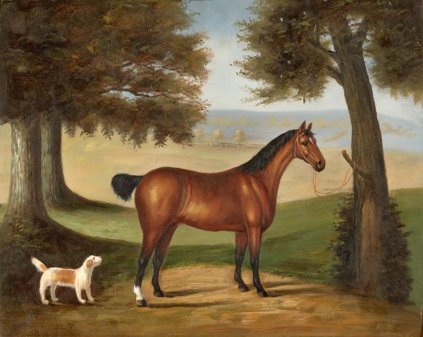 Dogs/Cats Dogs Horse and Dog in Landscape