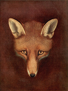 Equestrian/Fox Fox Head by Reinagle