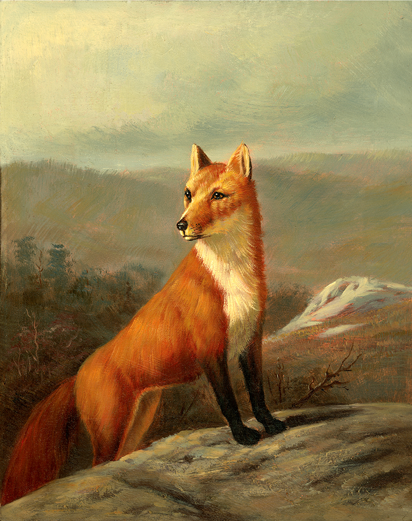 Equestrian/Fox Red Fox