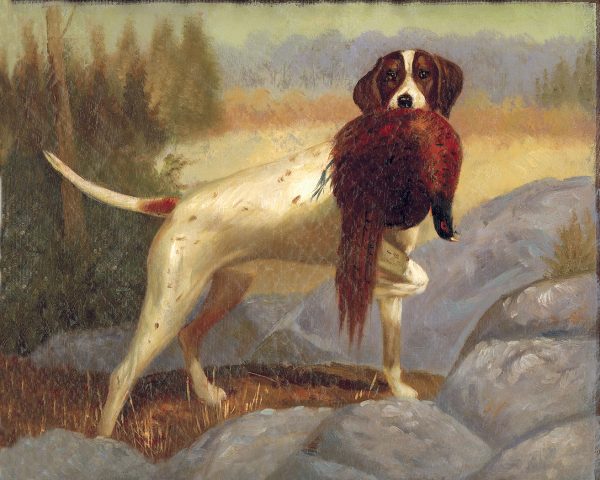 Cabin/Lodge Dogs/Cats Pointer with Pheasant