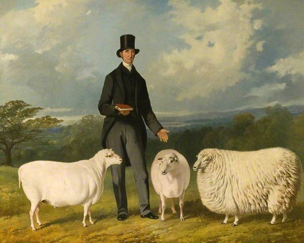 Farm/Pastoral Farm Gentleman with Three Sheep