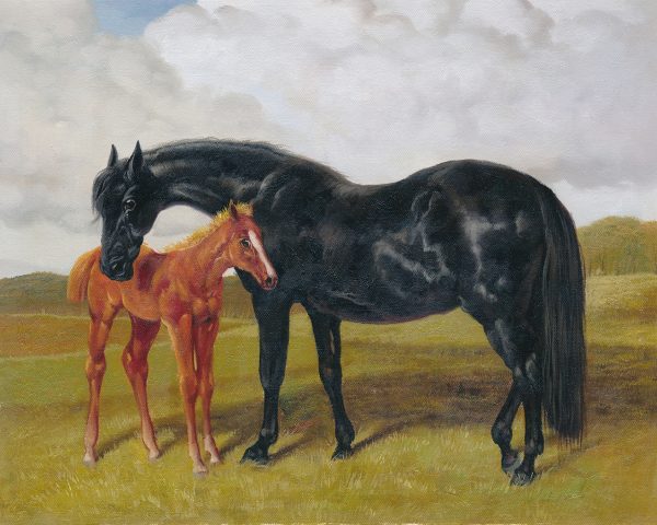 Equestrian/Fox Equestrian Mare and Foal in Landscape