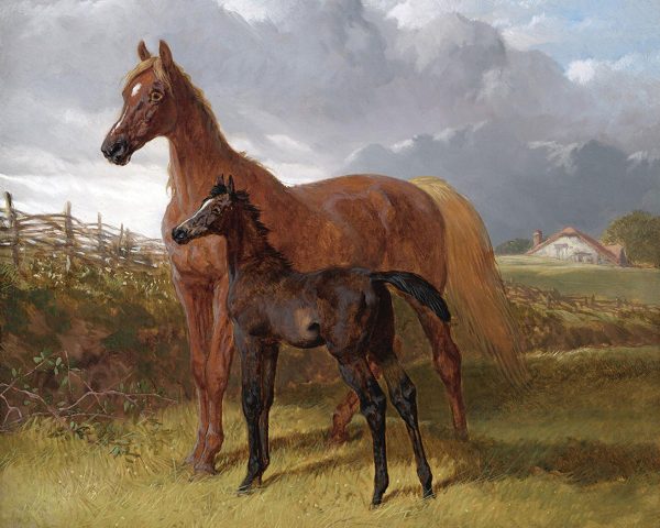 Equestrian/Fox Equestrian Mare and Foal