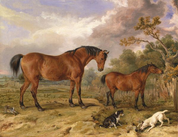 Dogs/Cats Dogs Two Horses with Dogs and Rabbit