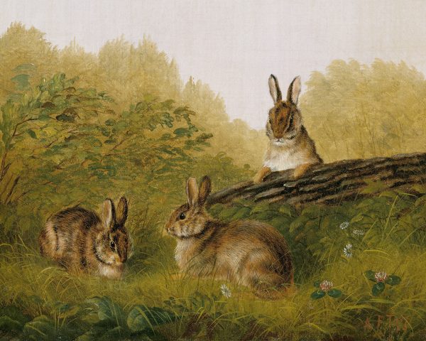 Farm/Pastoral Bunnies in the Field by Tait