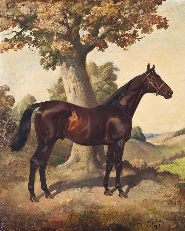 Equestrian/Fox Equestrian Dark Chestnut Horse Ethelbruce