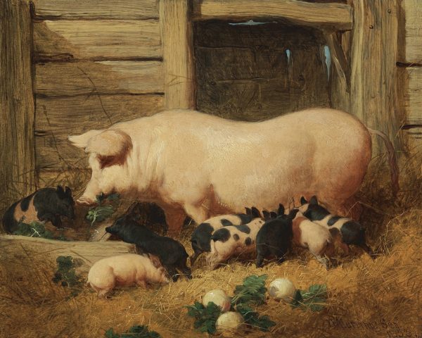 Farm/Pastoral Farm Sow with Piglets