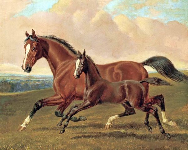 Equestrian/Fox Equestrian Elder Mare and Foal by John Herring