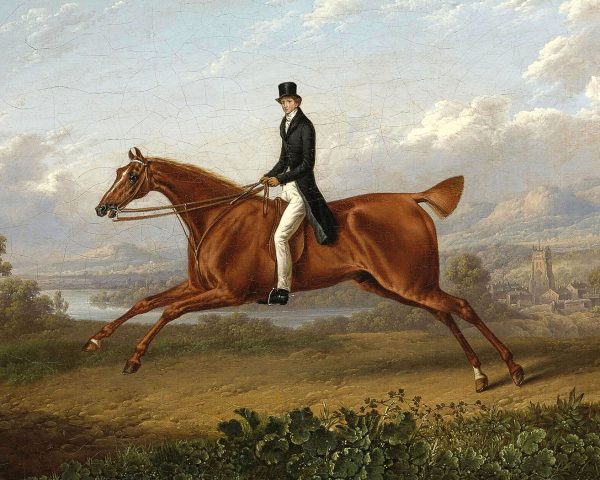 Equestrian/Fox Equestrian Gentleman on a Galloping Chestnut Horse