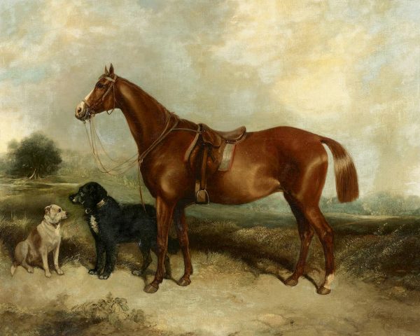 Equestrian/Fox Dogs Chestnut Horse with Two Dogs