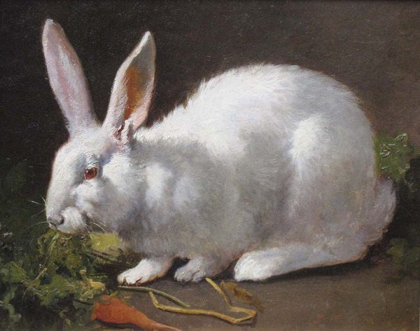 Farm/Pastoral Easter White Rabbit