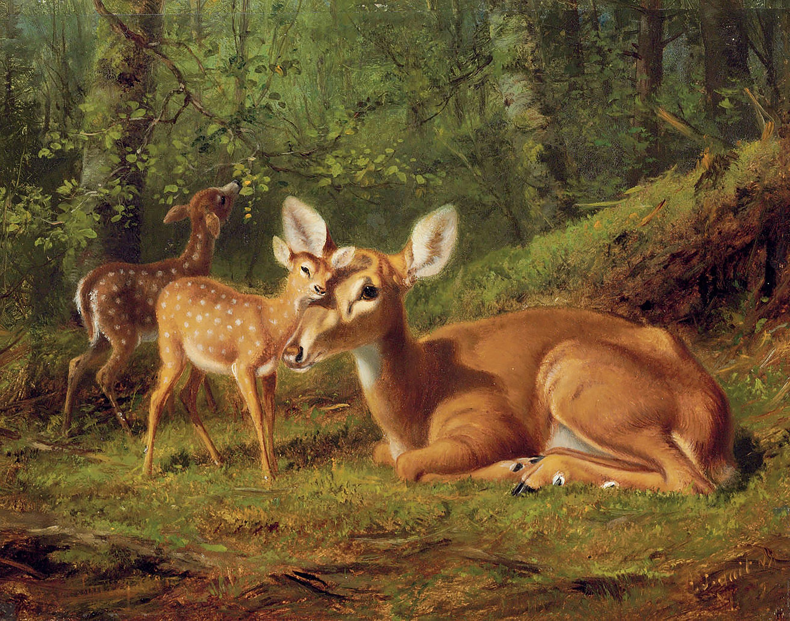 Cabin/Lodge Lodge Doe and Twin Fawns by Tait ...