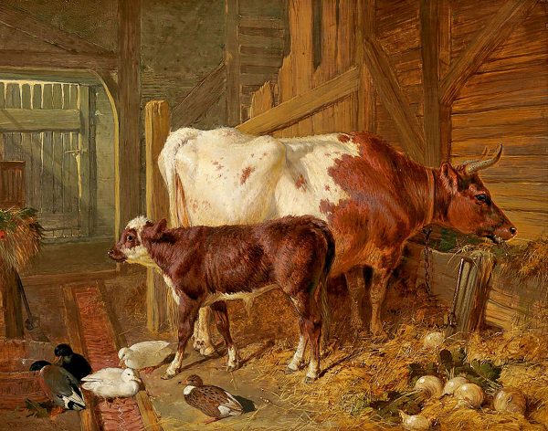 Farm/Pastoral Farm A Cow and Her Calf in Stable Interior