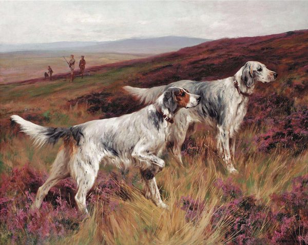 Cabin/Lodge Hounds Two Setters on a Grouse by Arthur Wardle