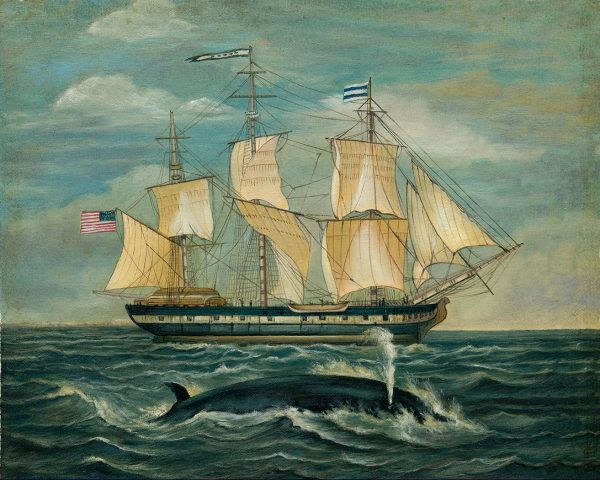 Nautical Nautical American Whaling Ship with Sperm Whale