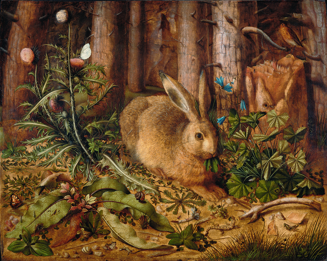 Farm/Pastoral Cottagecore Rabbit in Forest ...