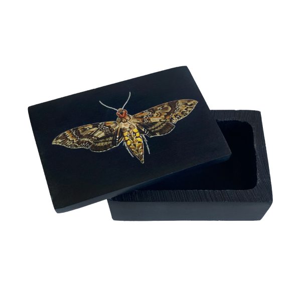 Decorative Boxes Botanical/Zoological 3″ Hawk Moth Black Soapstone Trinket Box