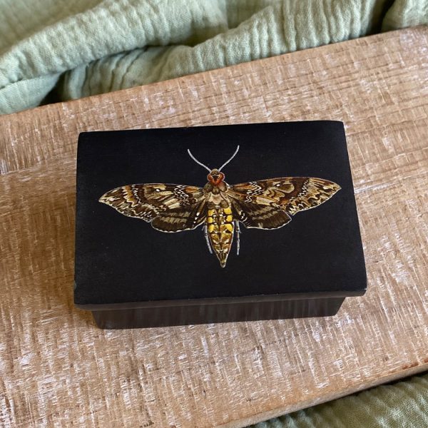 Decorative Boxes Botanical/Zoological 3″ Hawk Moth Black Soapstone Trinket Box