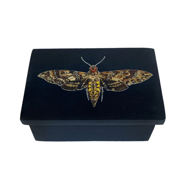 Decorative Boxes Botanical/Zoological 3″ Hawk Moth Black Soapstone Trinket Box