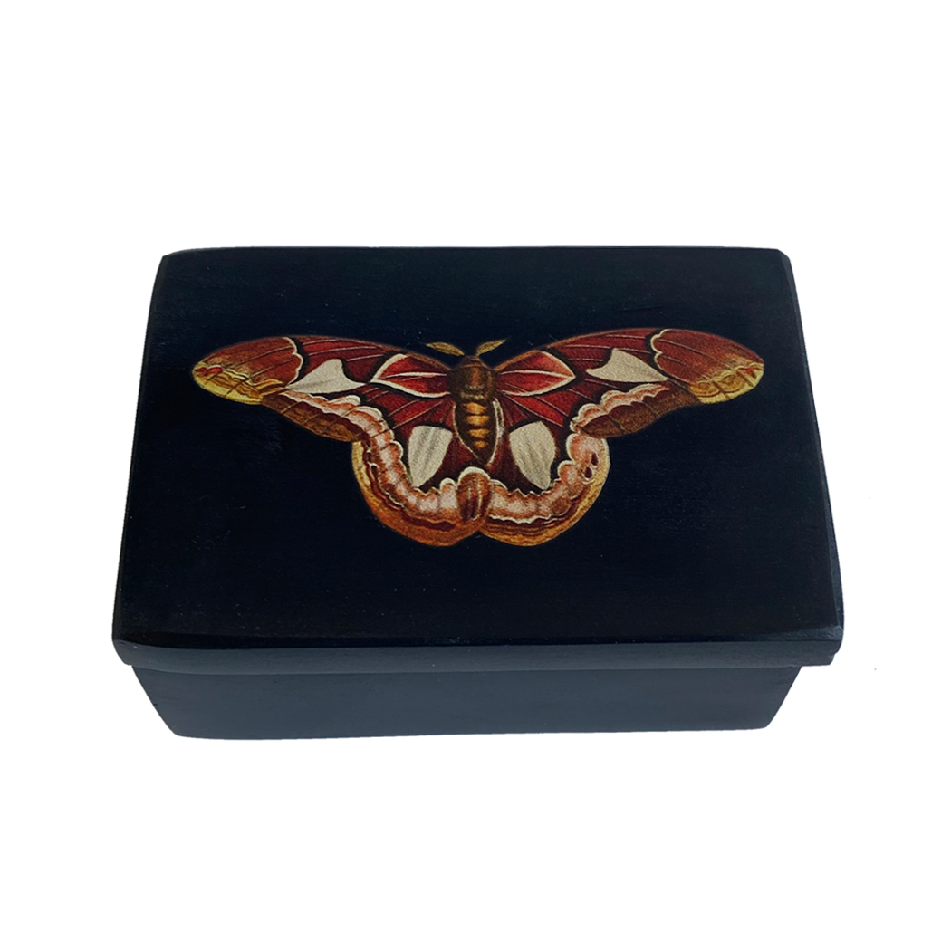 Decorative Boxes Botanical/Zoological 3″ Atlas Moth Black Soapstone Trinket Box ...