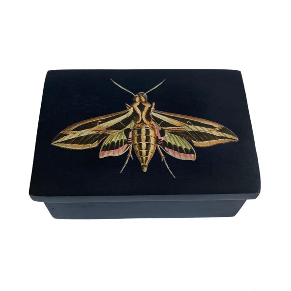 Decorative Boxes Botanical/Zoological 3″ Sphinx Moth Black Soapstone Trinket Box