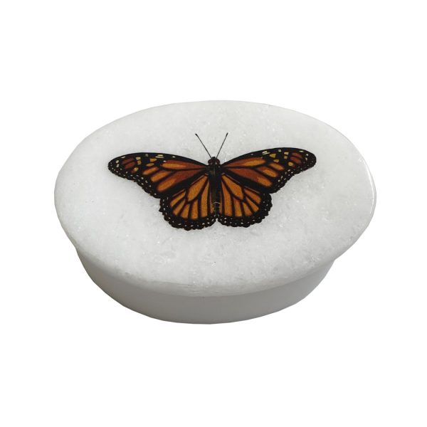 Decorative Boxes Botanical/Zoological 3″ Monarch Butterfly White Oval Soapstone Trinket-Jewelry Box