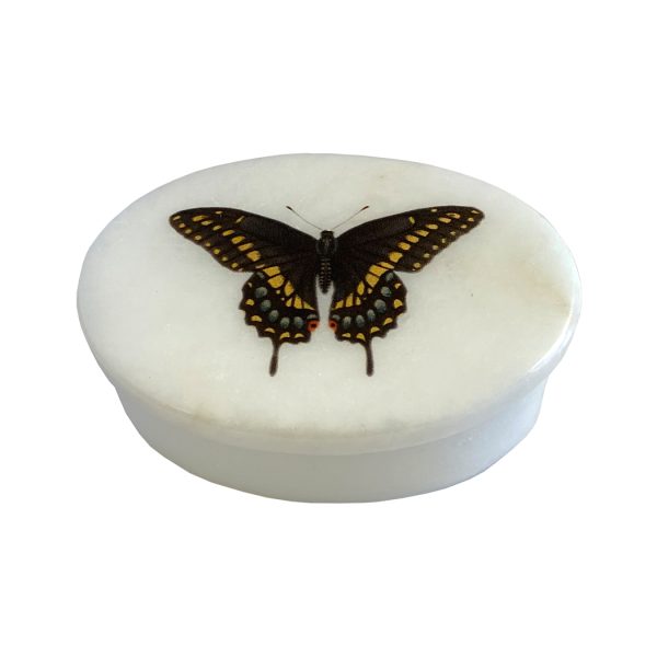 Decorative Boxes Botanical/Zoological 3″ Eastern Black Swallowtail Butterfly White Oval Soapstone Trinket-Jewelry Box