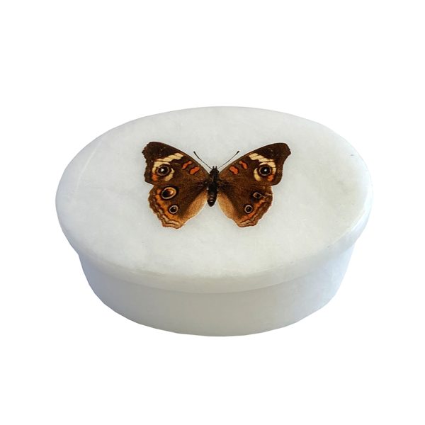 Decorative Boxes Botanical/Zoological 3″ Buckeye Butterfly White Oval Soapstone Trinket-Jewelry Box