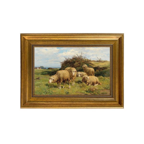 Farm/Pastoral Farm Sheep in Country Field