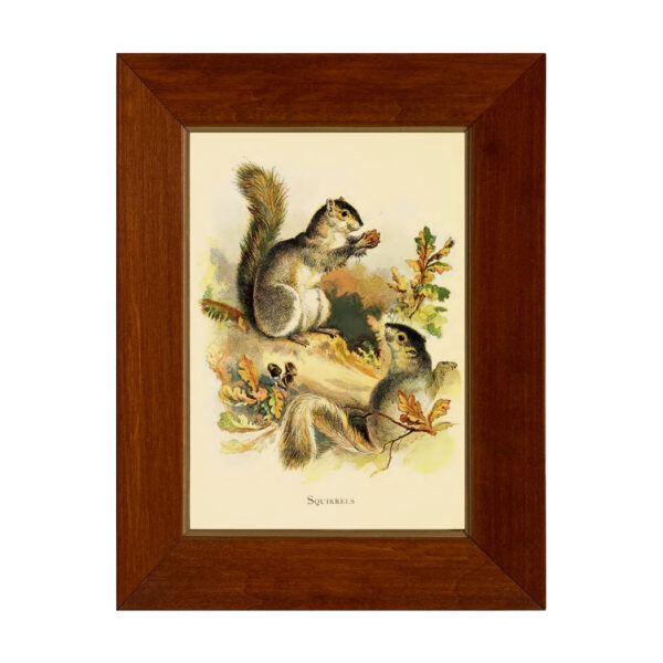 Cabin/Lodge Cabin/Lodge Squirrels Vintage Children’s Book Illustration Framed Print Behind Glass